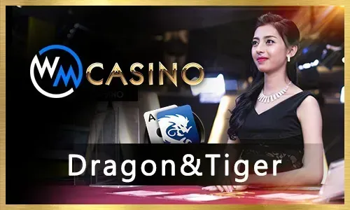 Online poker tables for various skill levels